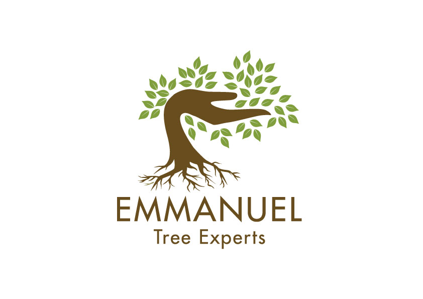 Logo Design by bc21 for iProTechz LLC | Design #14896700