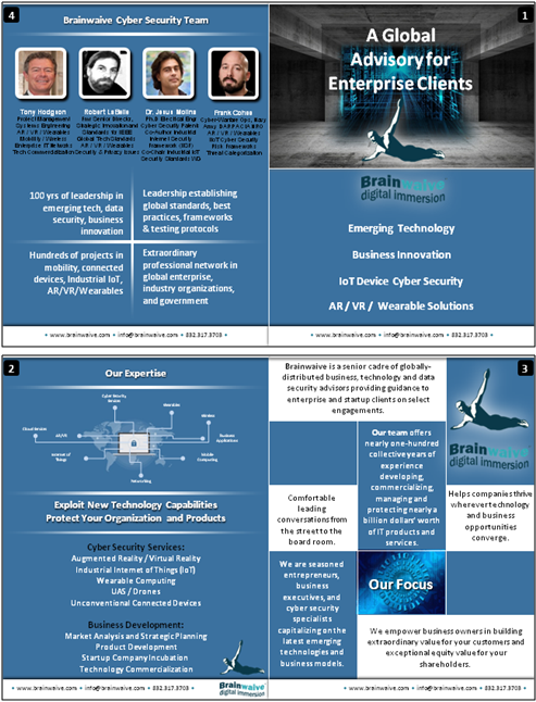 Flyer Design by blogerul for Brainwaive LLC | Design #14916028