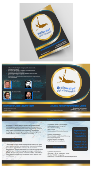 Diseño de Flyer por DesignerGuide para Brainwaive LLC | Diseño #14903934