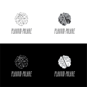 Diseño de Logo por eduard131 para este proyecto | Diseño: #15009950