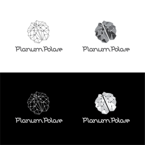 Diseño de Logo por eduard131 para este proyecto | Diseño: #15009951