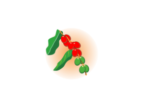 Illustration Design by dv for Pirate Life | Design: #14967850