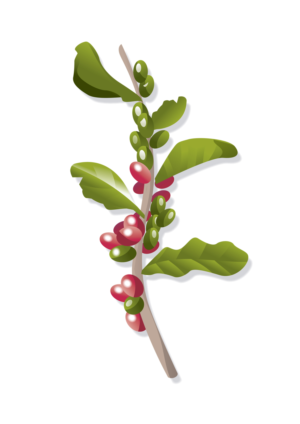 Illustration Design by nanocb72 for Pirate Life | Design: #14959439