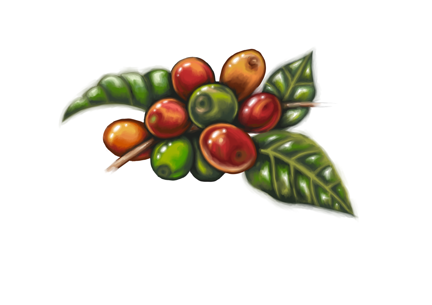 Illustration Design by cornel888 for Pirate Life | Design #14932295