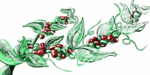 Illustration Design by Memiliano