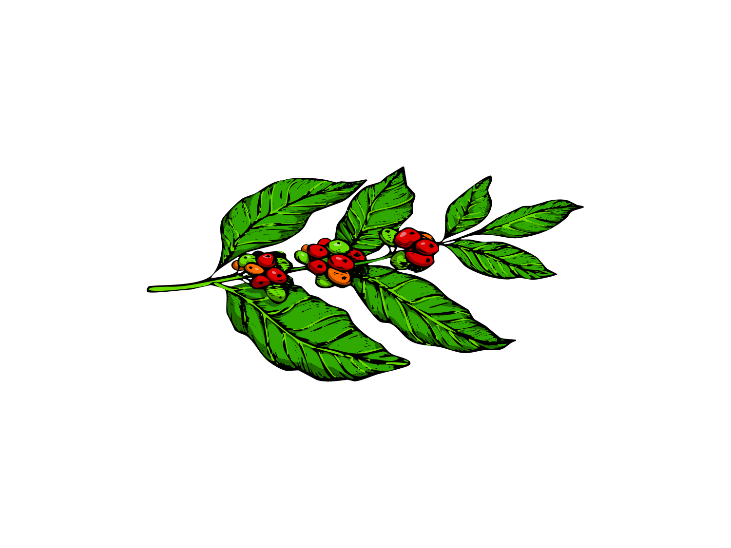 Diseño Con Ilustración por Abiyoso28 para Pirate Life | Diseño #14917215