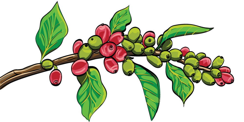 Illustration Design by marius.bobe1026 for Pirate Life | Design #14919429
