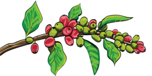 Illustration Design by marius.bobe1026