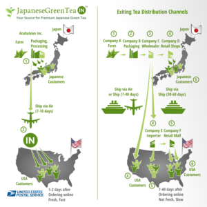 Infographic Design by design.bb