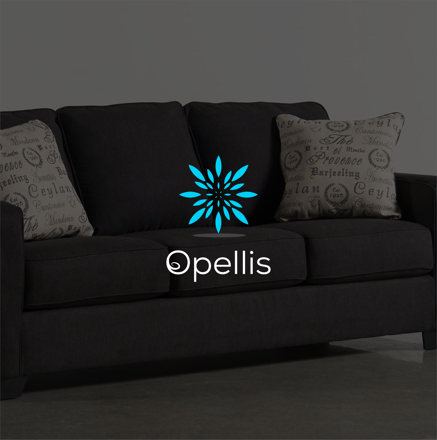 Logo Design by BOROBUDRUR ART for Instant Care - Pedia Safe | Design #14935912