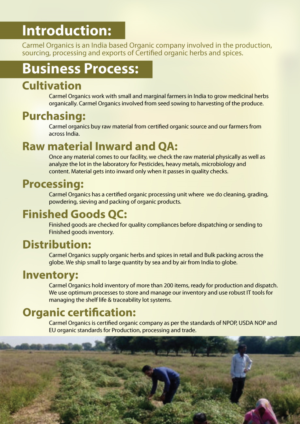 Brochure Design by Impressive Sol