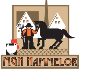Logo Design by hansi