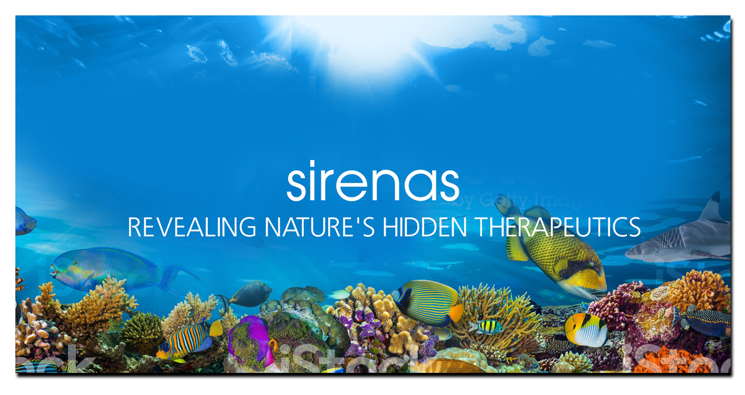Banner Ad Design by Expert Designer for this project | Design #15226711