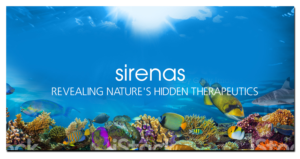 Banner Ad Design by Expert Designer