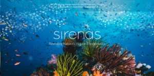 Banner Ad Design by Kristina Andonoff