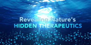Banner Ad Design by AntonioTruong