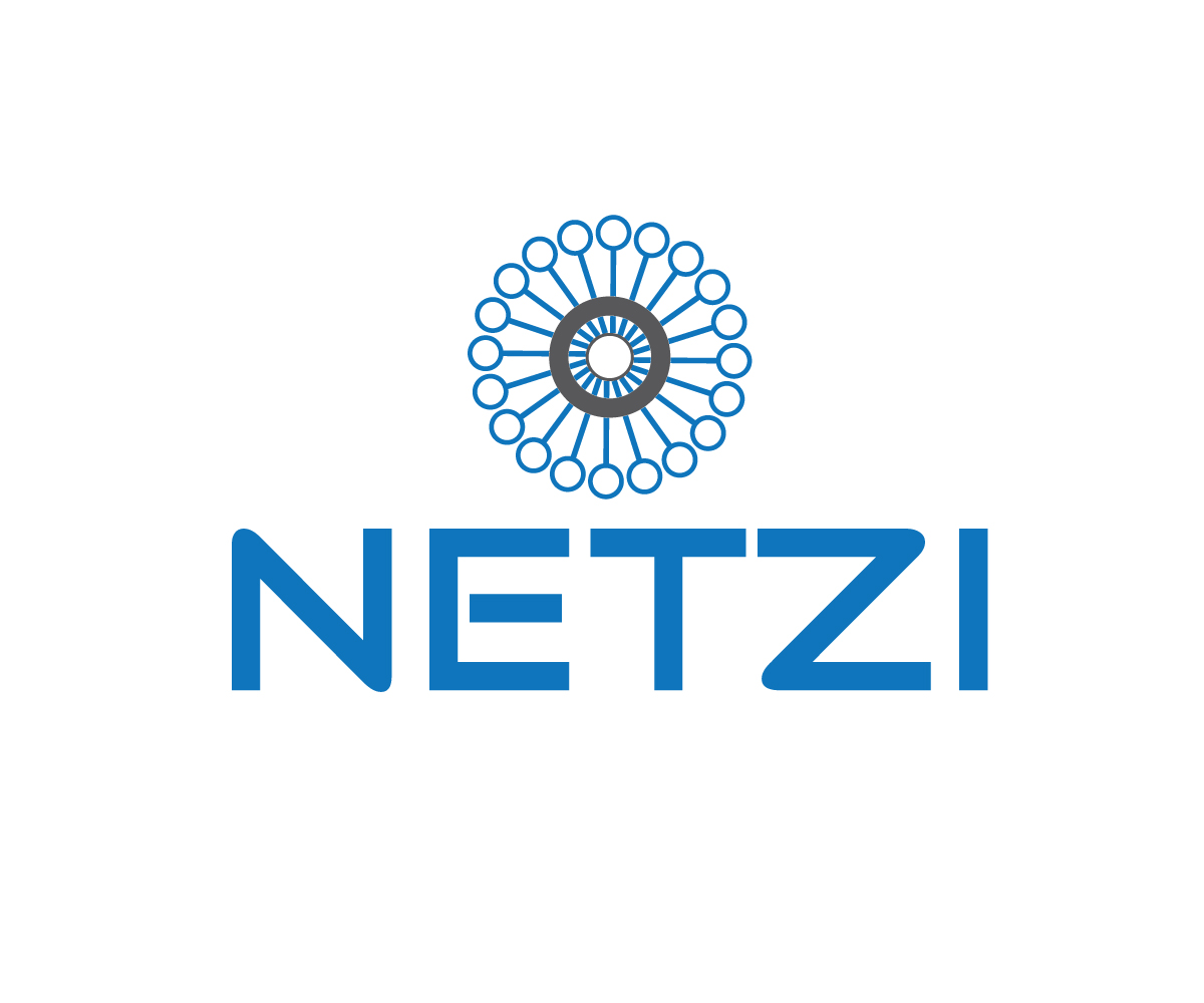 Logo Design by Top king  designer for Netzi Broadband Services Pvt Ltd | Design #14937906
