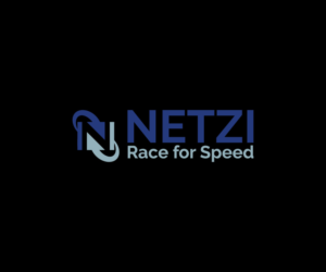 Logo Design by tani_sha321 for Netzi Broadband Services Pvt Ltd | Design: #14937170