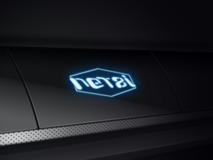 Logo Design by Kalla for Netzi Broadband Services Pvt Ltd | Design: #14934744