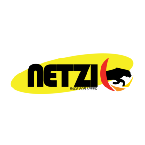 Logo Design by nfateha98 for Netzi Broadband Services Pvt Ltd | Design: #14939085