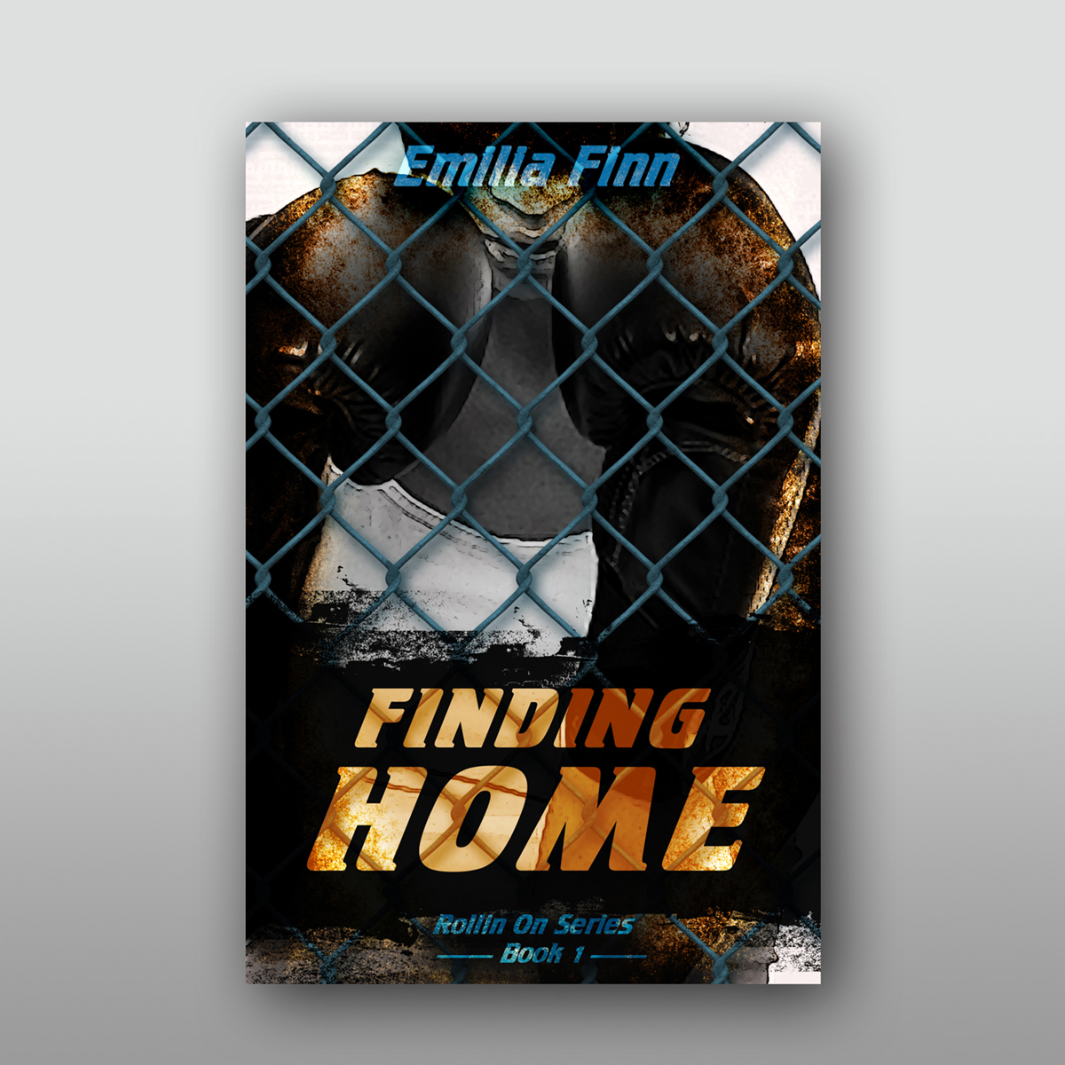 Book Cover Design by graphicdesk.info for this project | Design #15001366