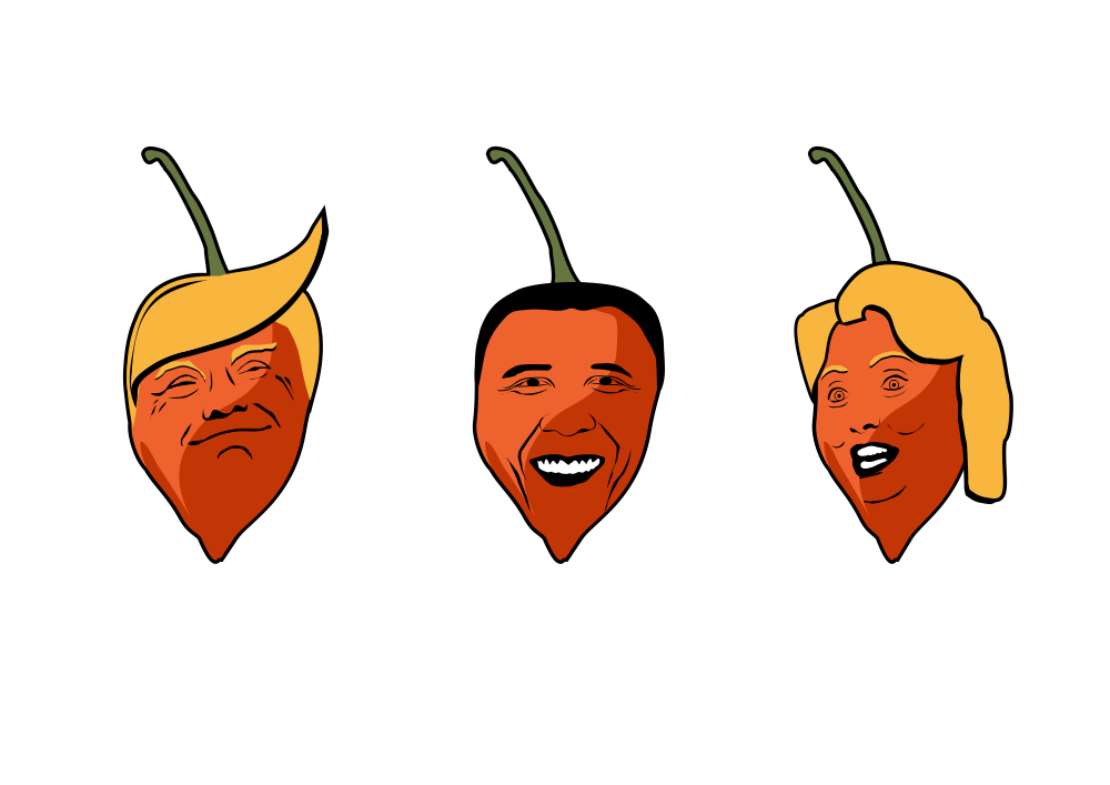 Vector Design by Amduat Design for Salty Dog Seasonings | Design #14956092