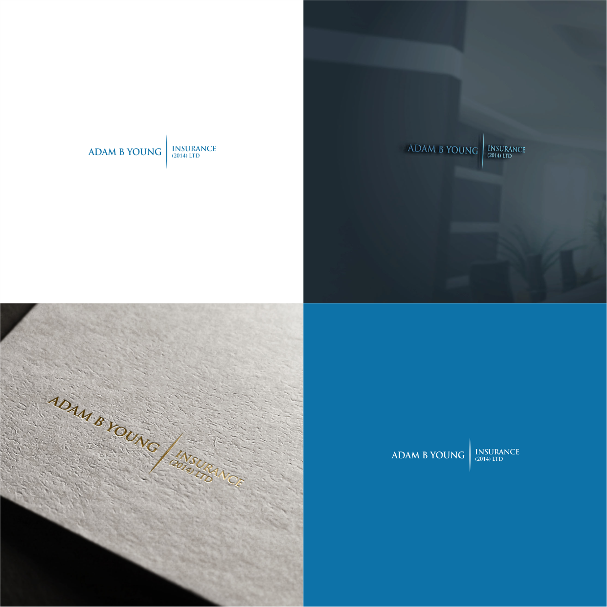 Logo Design by jenggot_merah_ for Adam B Young Insurance | Design #15048258
