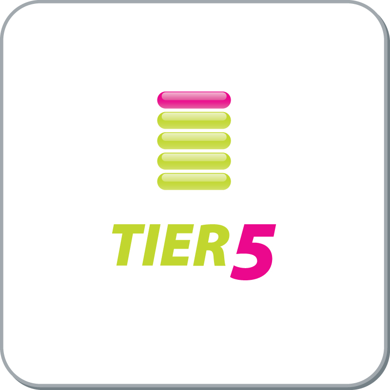 Diseño de Logo por sD para Tier 5 Solutions | Diseño #38595