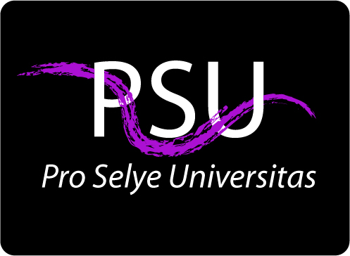 Design de Logo par Trinacria pour Browsum s.r.o. | Design #15020941