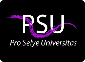 Logo Design by Trinacria for Browsum s.r.o. | Design: #15020941