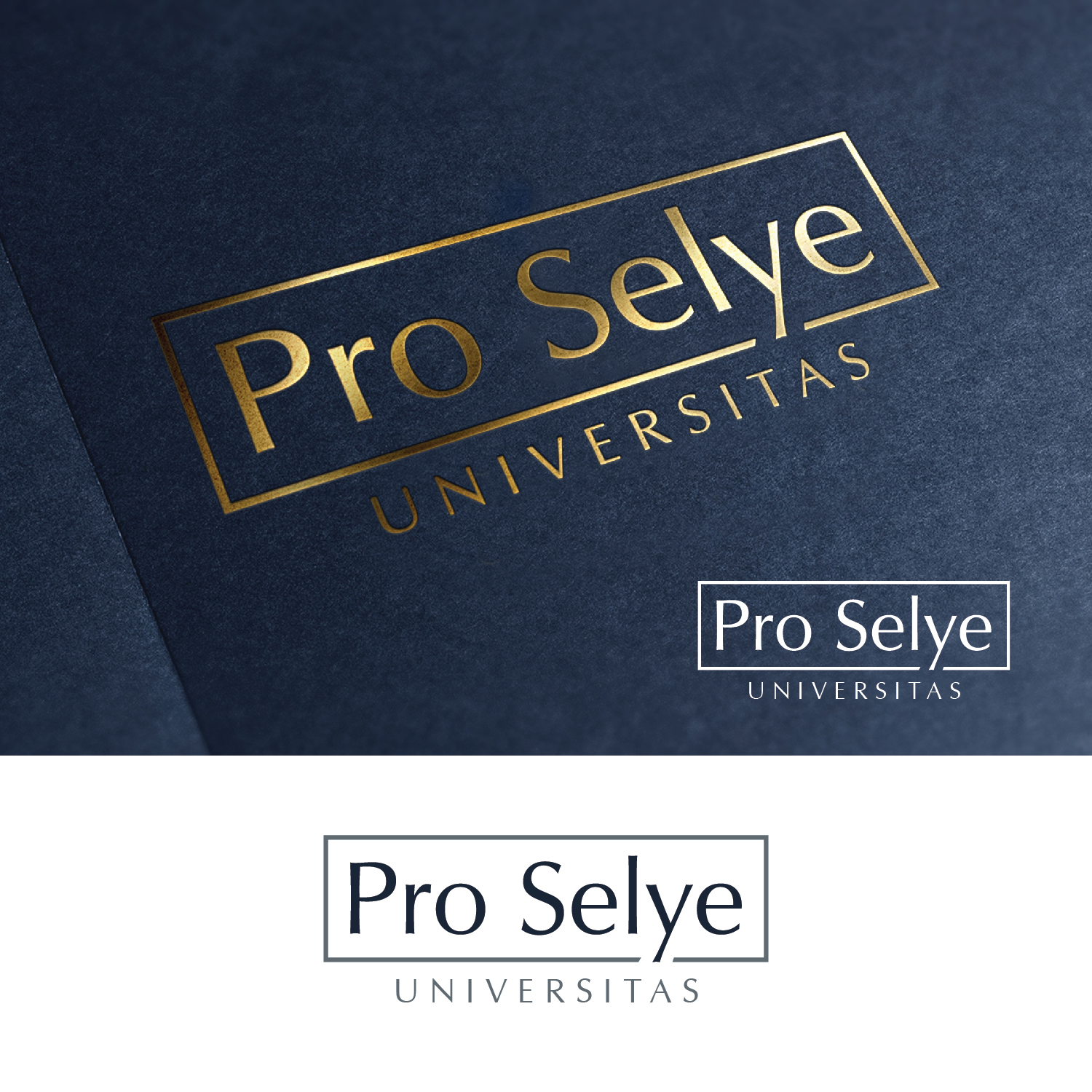 Logo Design by Anoushay for Browsum s.r.o. | Design #14957254