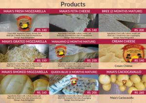 Brochure Design by Impressive Sol