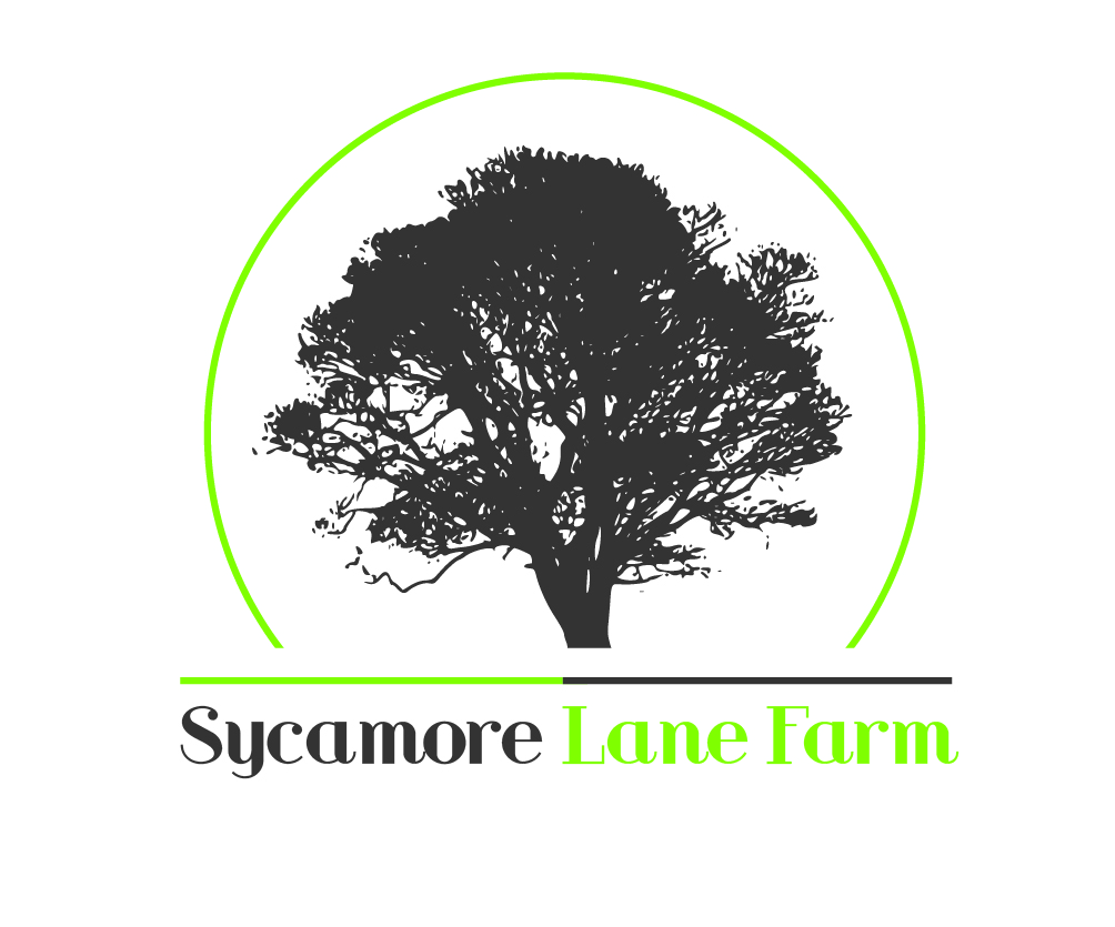 Logo Design by Ð?u Pao for this project | Design #15070634