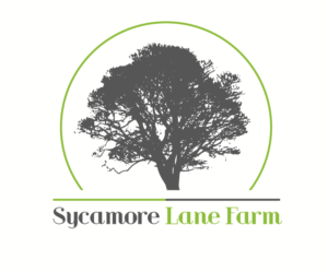 Logo Design by Ð?u Pao for this project | Design: #15070634