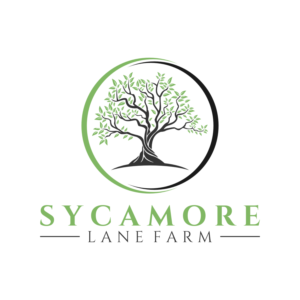 Logo Design by Sykes