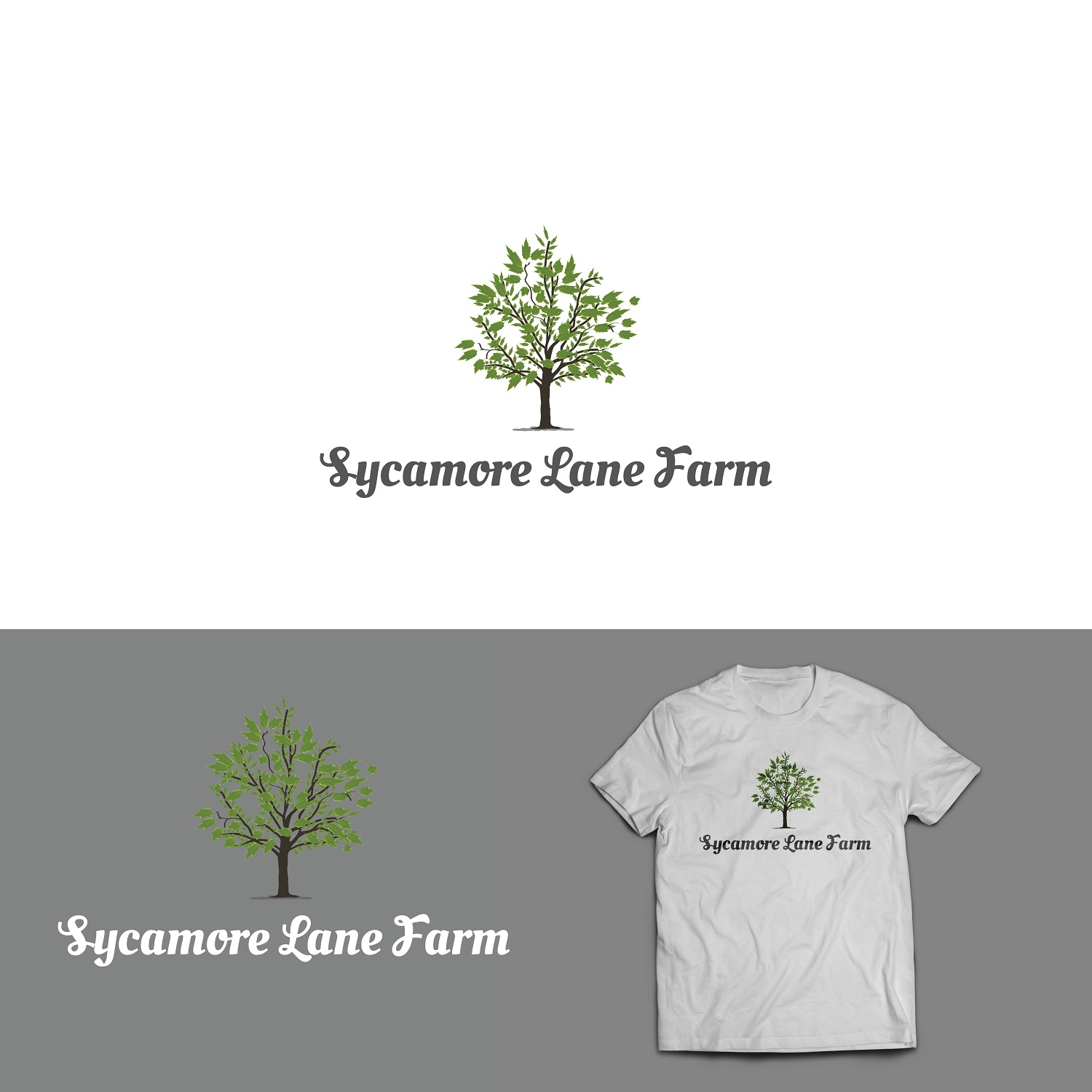 Logo Design by Graphicnesss for this project | Design #15041079
