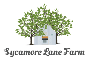 Logo Design by Graphicnesss for this project | Design: #15042198