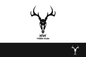 Logo Design by Crul