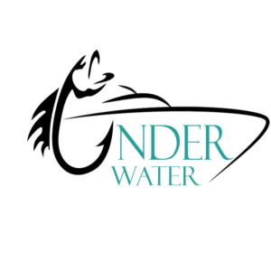 Logo Design by sh.ahmed99999