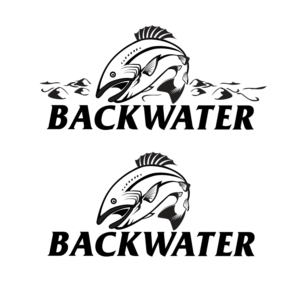 Design de Logo par Soula Vetter pour Backwater Performance | Design #14991461