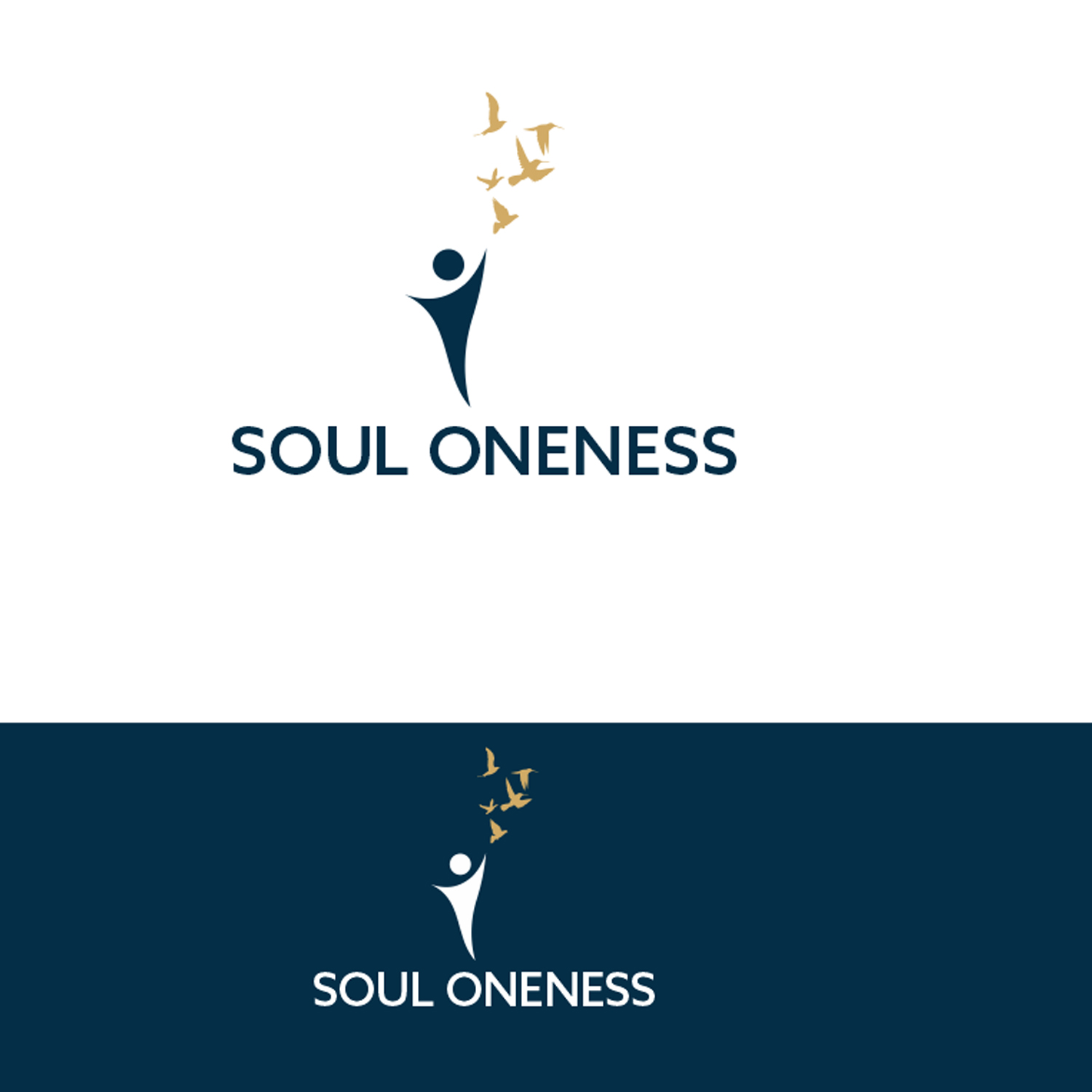 Logo Design by TiagoD.T for this project | Design #15004306