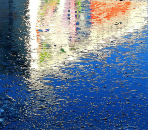 Photography by imaginart