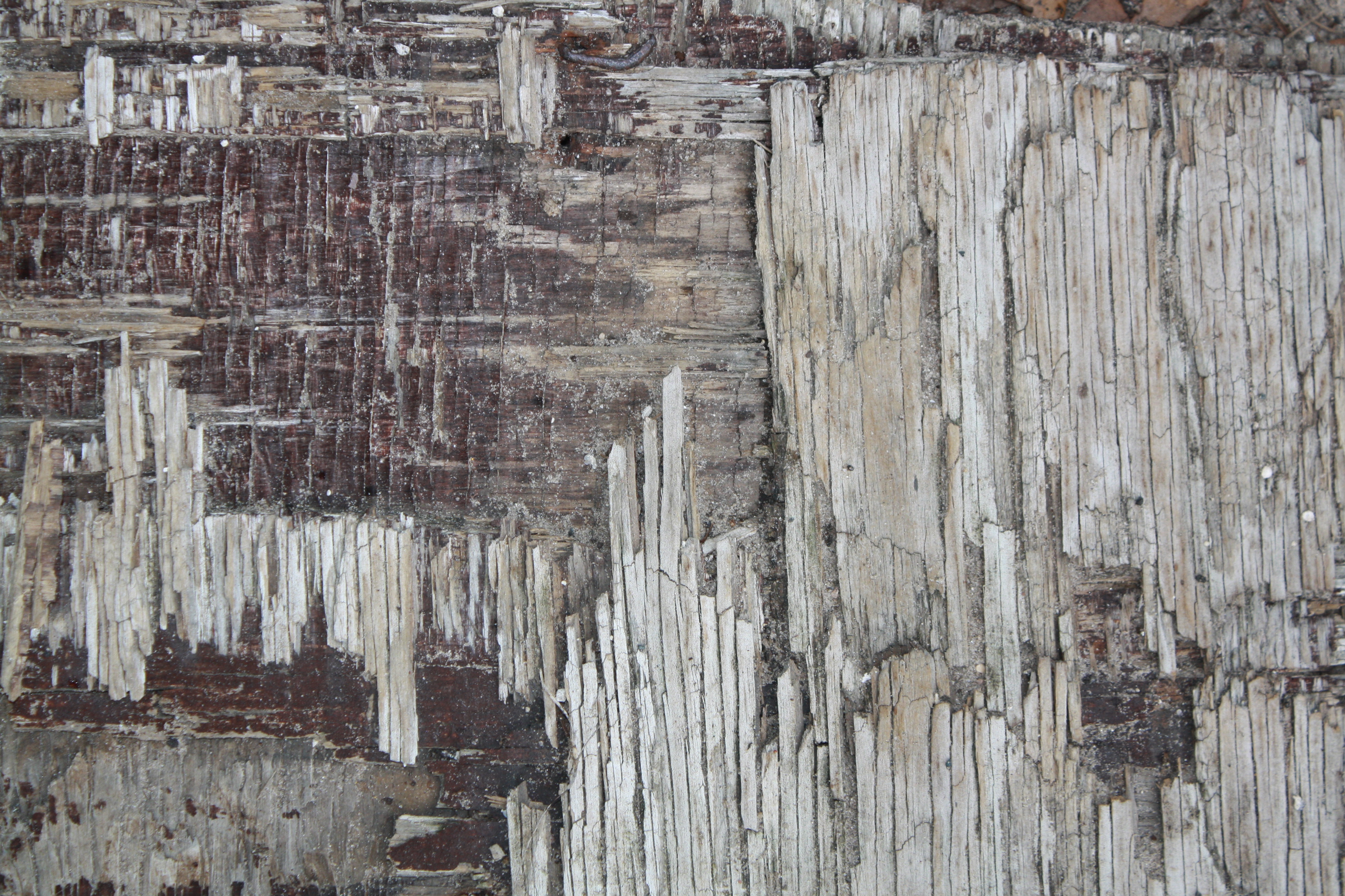 Fotografía por azanalenore para DesignCrowd (Community Contests) | Diseño #15079653