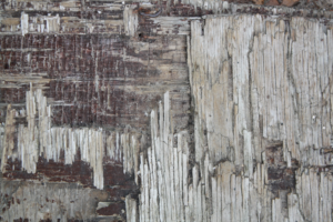 Photography by azanalenore