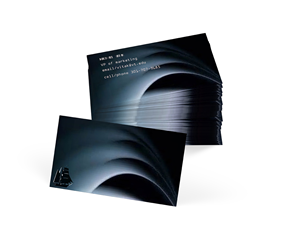 Business Card Design by Nicole