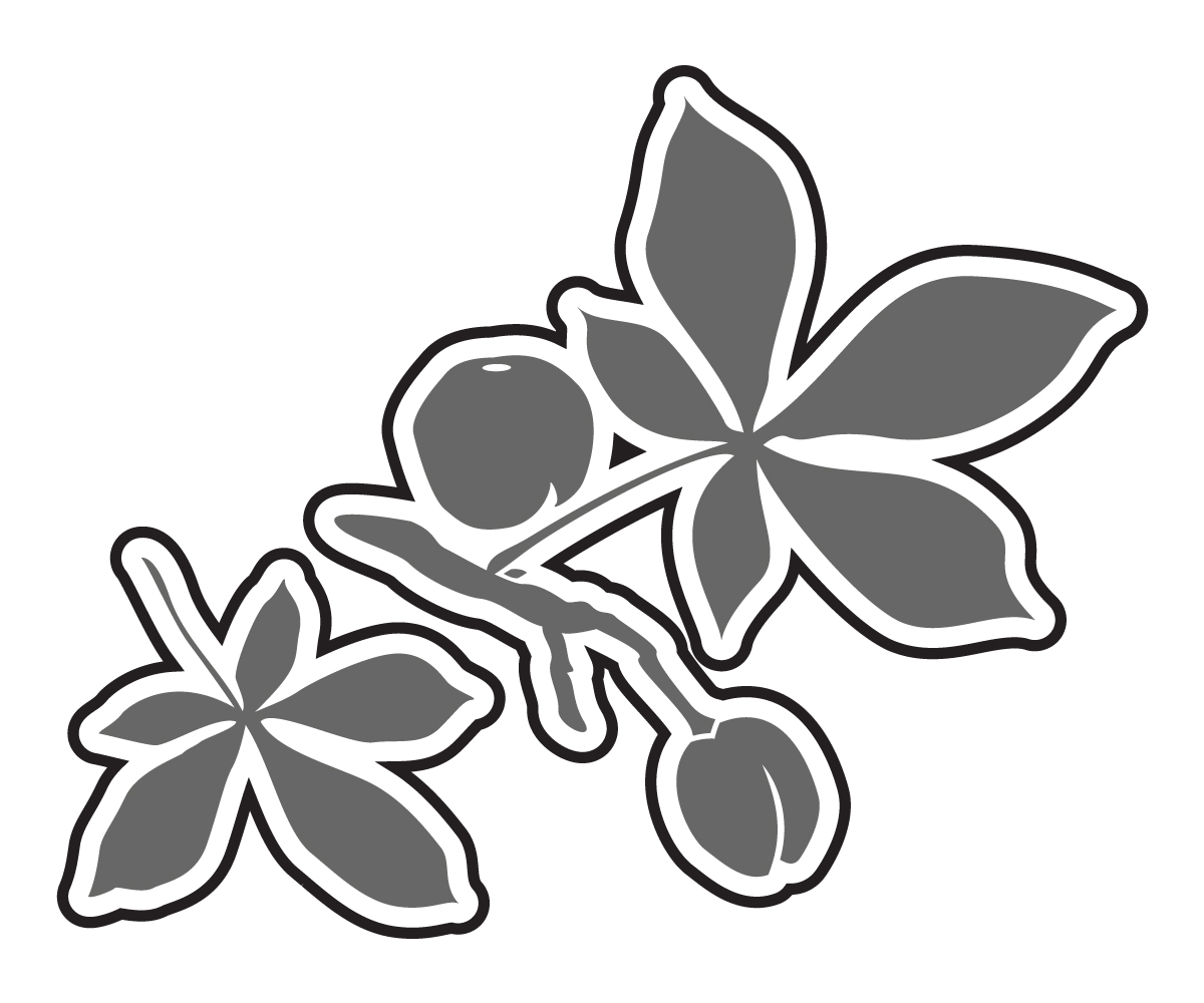 Diseño Vectorizado por cj.massdesign para este proyecto | Diseño #15046861