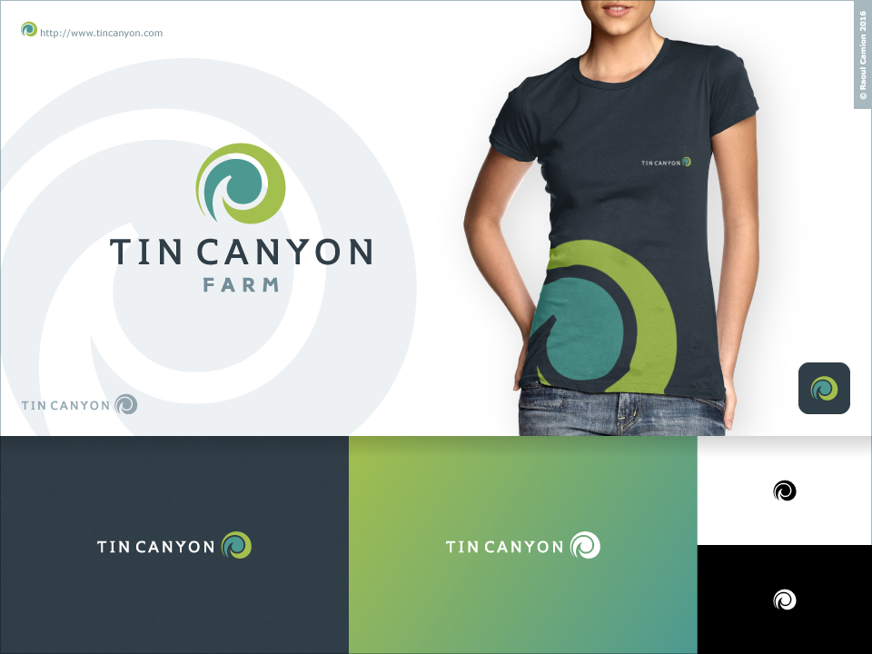 Logo Design by Raoul Camion for Monster Creative | Design #15008225