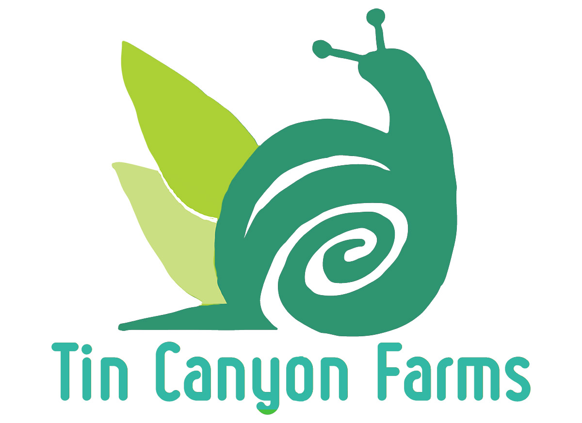 Logo Design by alexanderjwilliamson for Monster Creative | Design #15022705