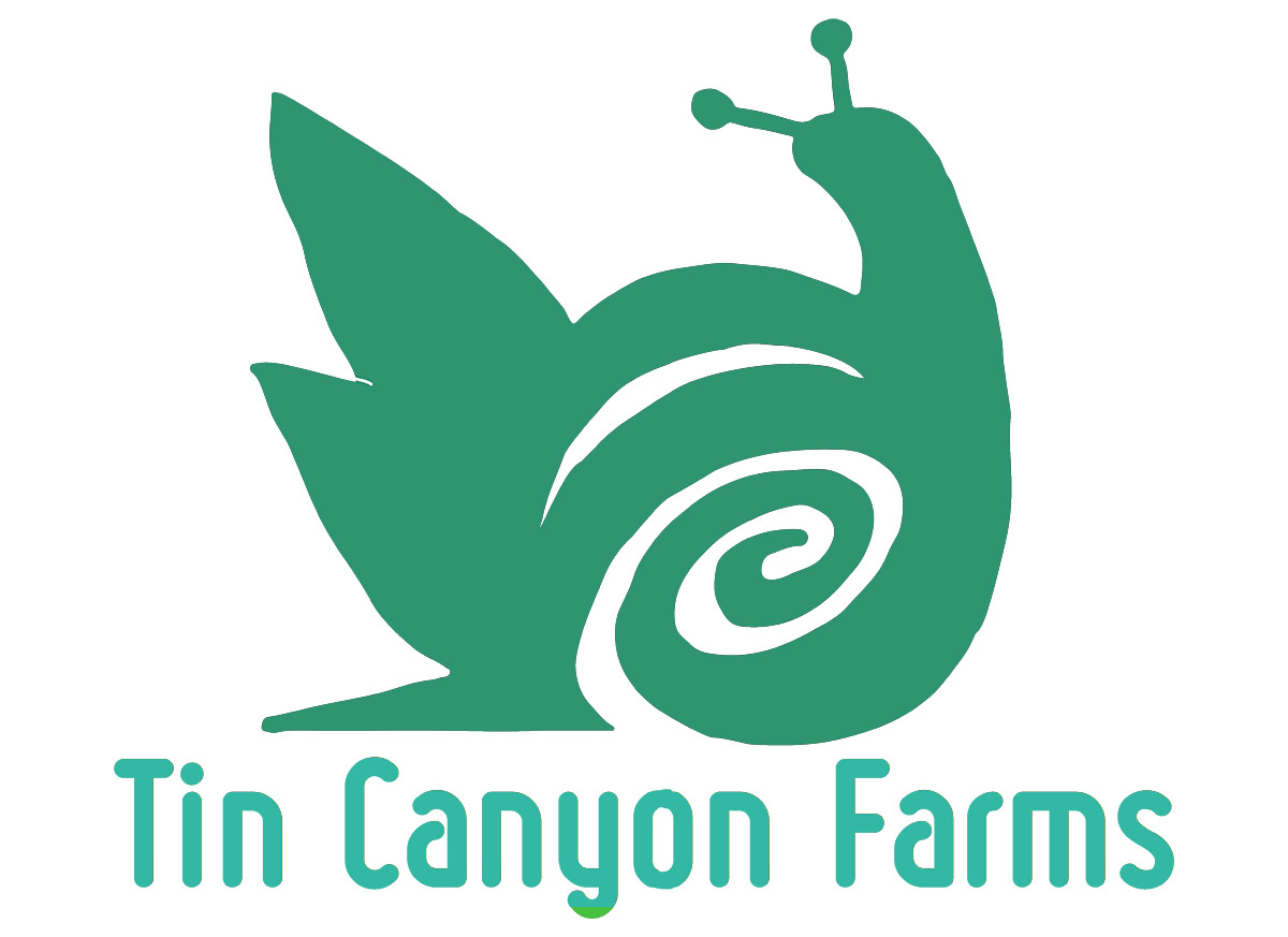 Logo Design by alexanderjwilliamson for Monster Creative | Design #15022707