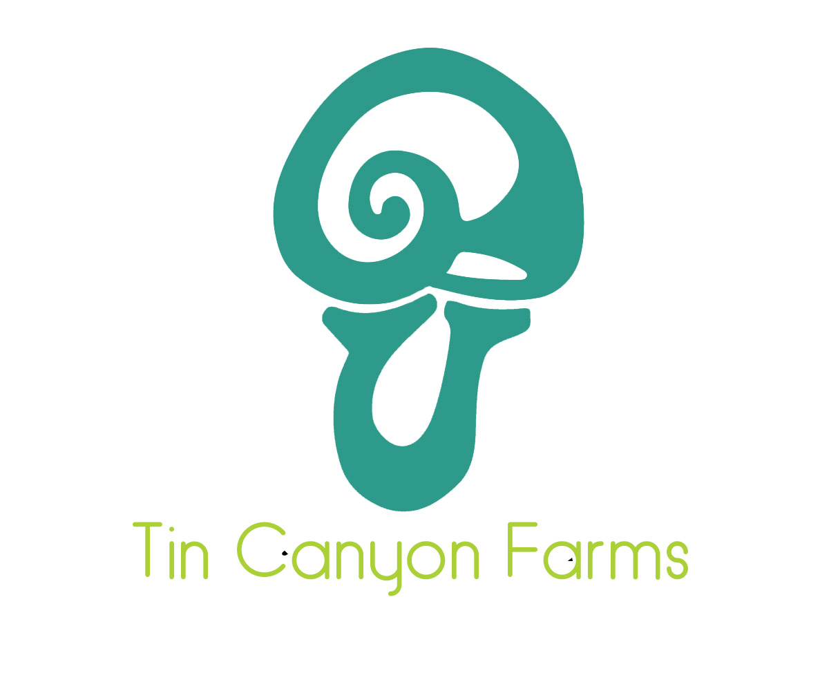 Logo Design by alexanderjwilliamson for Monster Creative | Design #15023559